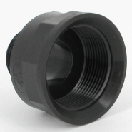 Réduction - Femelle 1