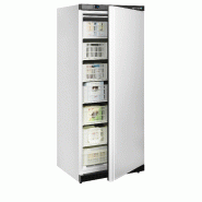 Congélateur de stockage UF600 W/BASKETS (605 / 555 L) Blanc TEFCOLD_1