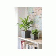 Pot de fleur carré en polypropylène - 19,3 cm - Gris anthracite - Avec réserve d'eau_1