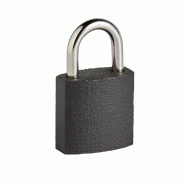 Cadenas à clé en fer - largeur 25 mm - bon niveau de sécurité - double ancrage - 2 clés_1