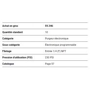 Purgeur automatique électronique compact - Topring - Pression 230 PSI - Référence 59.346.10_1