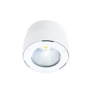 Luminaire en saillie LED de type downlight - fixation rapide - étanche IP65 - KOBE 43W - faisceau 60° - aluminium anodisé_1