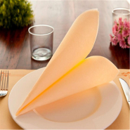 Set de table en pure cellulose 48g/m2 ivoire avec liseré 31x43cm - par 2000_1