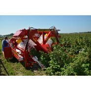 Équipement agricole performant pour récolte de framboises