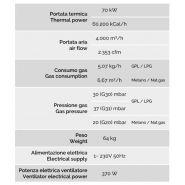 G Max - Générateur d'air chaud à gaz naturel ou GPL - 70 kW - Résistant à la corrosion_1