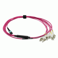 VALUE Câble MPO Fan-Out 50/125µm OM4, MPO / 12xLC, violet, 2 m_1