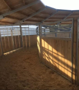 Marcheur PRO semi-couvert LCI Cheval - Diamètres 14, 16 ou 18 m - Bois Français 100% Douglas_1