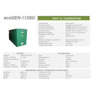 Ecogen-113SG - Unité de cogénération Cogengreen - Puissance électrique 113 kW (100 kW en groupe secours)_1