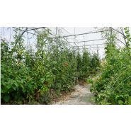 Serre tunnel PRO - Serres Natural - largeur 6m avec bâche enterrée et demi-pieds droits_1