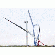 Lr 11000 grue sur chenilles_1