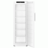 Armoire réfrigérée négative blanche - Statique SmartFrost - 237 L | Liebherr - FFFsg 4001 Performance_1