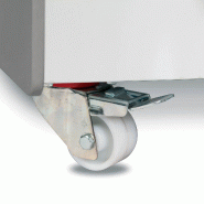 Congélateur vitré de glace BERMUDA RV10 (300 / 255) Gris TEFCOLD_1