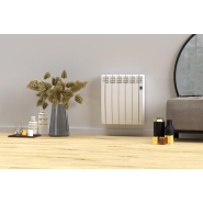 Radiateur SERIE D Wi-Fi 5 éléments 1000W Blanc - Rointe - DFW1000RAD2_1