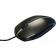 Cherry souris gentix illuminated usb bleue/noire 572390