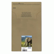 Epson Multipack 6-colours 24XL EasyMail_1