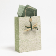 Sac kraft Toscane vert poignées torsadées 26x12x36cm - par 25_1