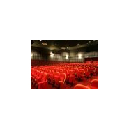 Fauteuil pour salle de spectacle équipé d'une tablette écritoire anti-panique escamotable - Space system international - Ms-ssi_1