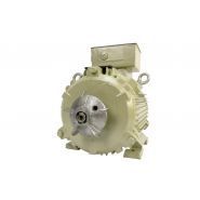Moteur ATEX - Motovario - Entre 0,75 kW et 315 kW - Zones 2, 21 et 22 - Certifié IECEx / ATEX_1