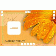 Carte de fidélité plastique Flos orange 2 - personnalisable en PVC premium_1