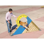 Roue edu can agility parcours canin_1
