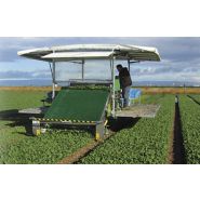 Récolteuse automotrice Slide Trax Small - Hortech SRL - chenilles, 26 kW, légumes à feuille_1