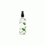 Vapolux parfum d'ambiance fresh mint vapo 125ml (v125mth6x4)_1