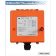 Saga1-L10 & L10-1 - Télécommande radio industrielle - modèle de poche - poids : 275g_1