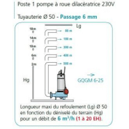 Poste de relevage avec pompe dilacératrice - 304252_1