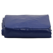 Vidaxl bâche bleu 5x5 m 650 g/m² 156062_1