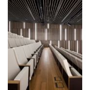 Fauteuil d'amphithéâtre et d'auditorium en mousse injectée_2