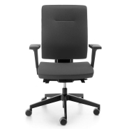 Fauteuil  de bureau  pivotant haut de gamme - EWS.80_1