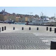 Borne escamotable manuelle SUMO-F MANU - Citinnov avec corps fusible en inox massif_1