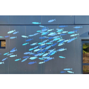 Bureau modulaire - Salle associative - Charpente métallique et étanchéité multicouche - Construction sur mesure_1