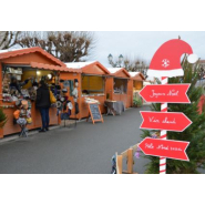 Chalet pliable neuf 4 m - Montage en 5 minutes avec structure en acier galvanisé et bois épicéa_2