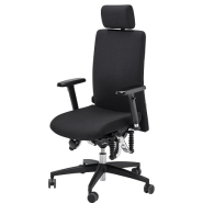 Siège ergonomique avec support lombaire intégré réglable