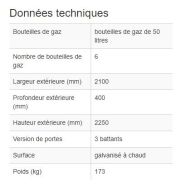 116954w - Armoire pour bouteilles de gaz DGF 6 - extérieure, acier galvanisé, 6 bouteilles de 50L_1