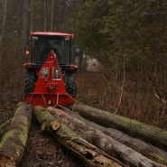 Treuil de traction forestier Fx110 pour exploitation de bois