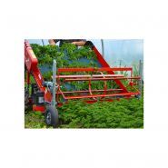Outil agricole pour la récolte rapide et ergonomique de jeunes pousses