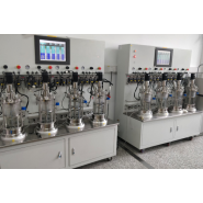 Fermenteur multiple de paillasse en verre - jusqu'à 24 unités indépendantes - volumes de 0,2 à 10L_1