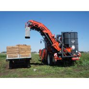 Arracheuse par préhension ZKIISE - Dewulf BV - 3 à 4 ha/j - Largeur 3290 mm - Automotrice, 2 rangs, tapis à tétines_1