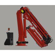 Grue auxiliaire avec radiocommande multifonctions standard