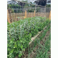 Filet à ramer en jute - Mailles carrées 12x12 cm - Dimensions 2m x 5m - Référence 883014_1