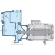 Pompe CALPEDA am 40-110a edm - 309548_1