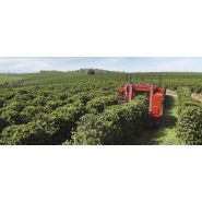 Récolteuse de café coffee express 200 multi - case ih - largeur de travail 3500 et 3550 mm_1