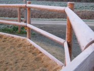 Rond de longe en bois Douglas - poteaux traités classe IV - Diamètres disponibles : 16m, 18m, 20m_1