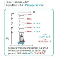 Poste de relevage calidom 900 gqsm 50-13 - 304312_1
