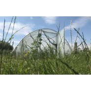 Serre de jardin avec aérations latérales et pieds droits de  0,50 m de haut - GOTHIQUE_2