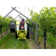 Effeuilleuse - ETS Collard - pour vignes larges, framboisiers, pépinières et raisin de table_1