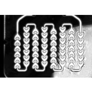 Prestation - microscopie acoustique (scanning acoustic microscopy)