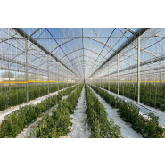 Serre à travées multiples  utilisée dans toutes les zones climatiques - Multiart_1